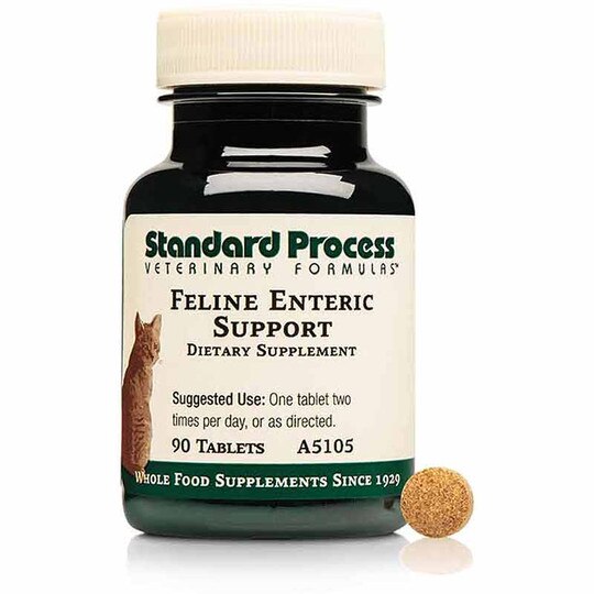 Feline Enteric Support, 90 Tablets, SP