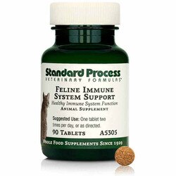 Feline Immune System Support