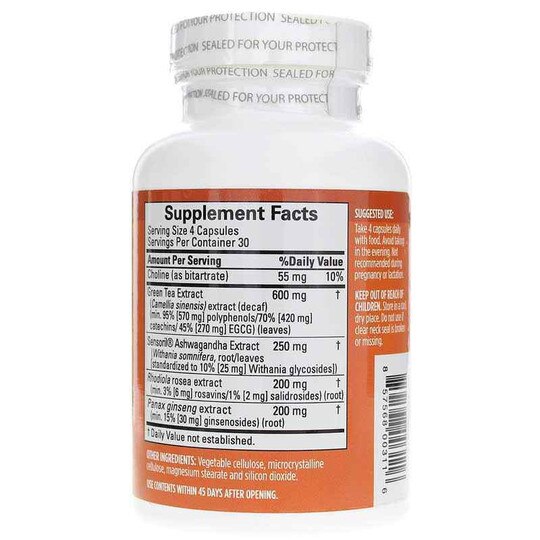 Focus & Energy, 120 Capsules, BMD