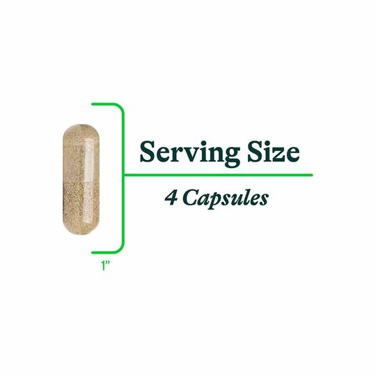 Bile Nutrients, 120 Veg Capsules, SKH