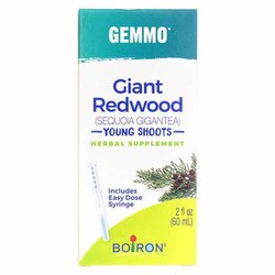 Gemmo Giant Redwood - Young Shoots 1