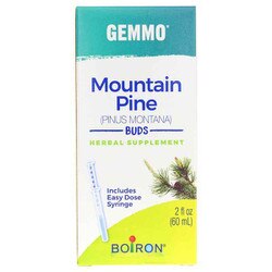 Gemmo Mountain Pine - Buds 1