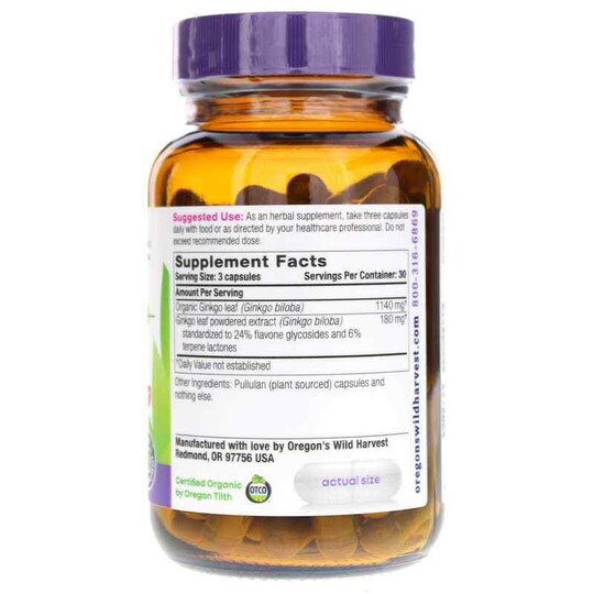 Ginkgo, 90 Vegan Capsules, OWH