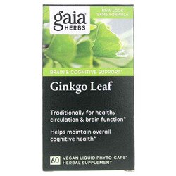 Ginkgo Leaf