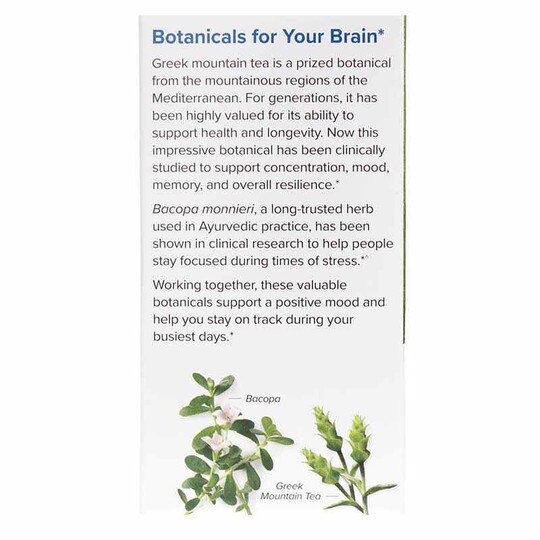 GMT23 Greek Mountain Tea + Bacopa, 30 Capsules, TNT