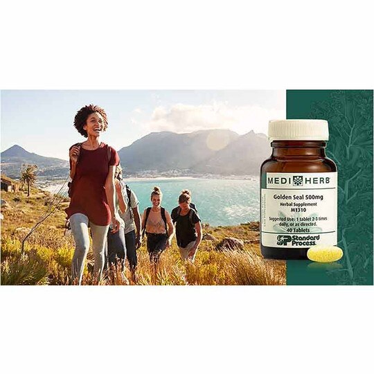 Golden Seal 500 Mg, 40 Tablets, SP