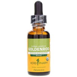 Goldenrod Extract 1