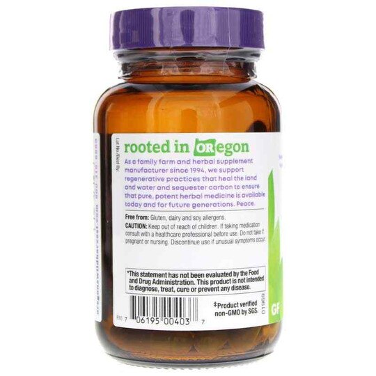 Gymnema, 60 Vegan Capsules, OWH
