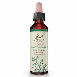 Holly Flower Essence 1