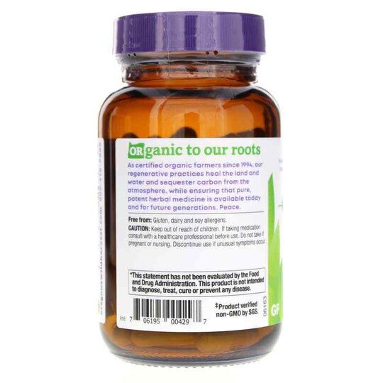 Kelp, 90 Vegan Capsules, OWH