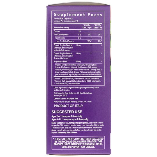 Kids Bronchial Wellness Syrup Organic, 3 Oz, GH
