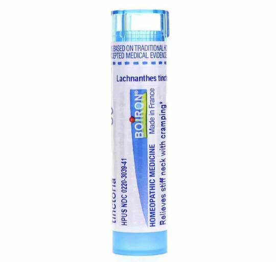Lachnanthes Tinctoria 30C, 80 Pellets, BOR