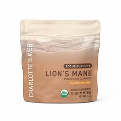 Lion's Mane Focus Support