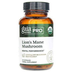 Lion's Mane Mushroom 1