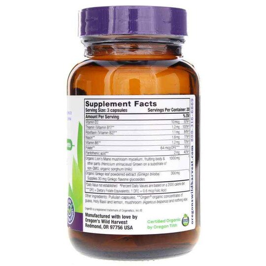 Lion's Mane Plus, 60 Vegan Capsules, OWH