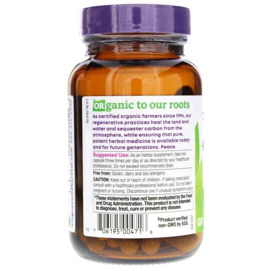 Lion's Mane Plus, 60 Vegan Capsules, OWH
