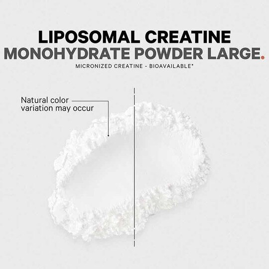 Liposomal Creatine Monohydrate, 16.03 Oz, CDE