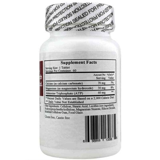 Liposomal Magnesium ATP, 60 Tablets, CR