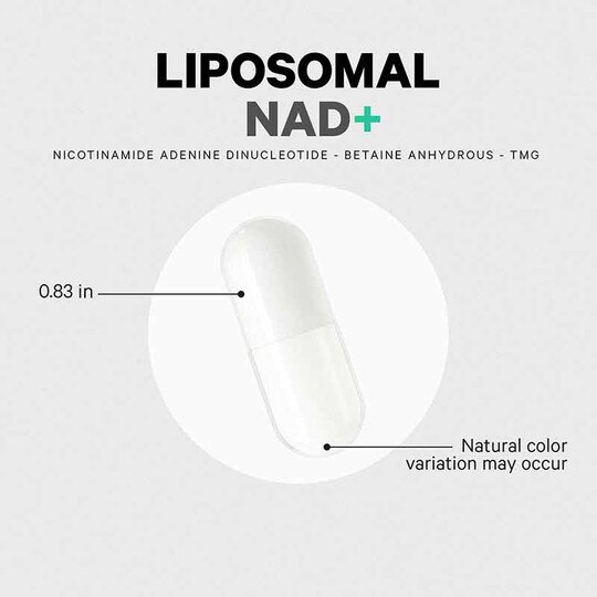 Liposomal NAD+, 60 Capsules, CDE
