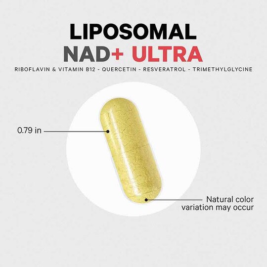 Liposomal NAD+ Ultra, 90 Capsules, CDE