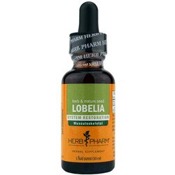 Lobelia Extract