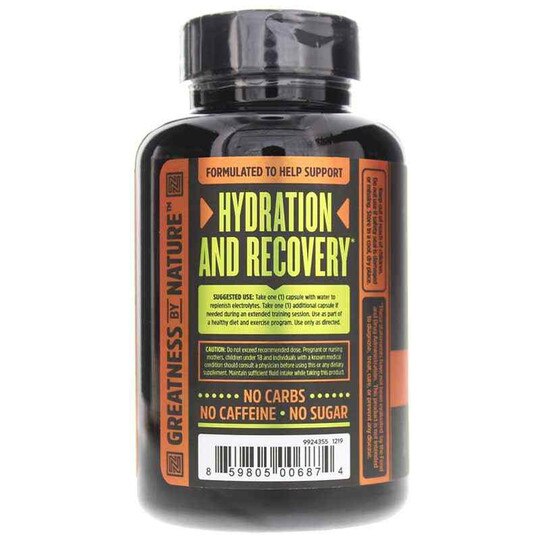 Lyte Up Advanced Electrolyte Complex, 100 Veg Capsules, ZHO
