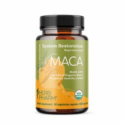 Maca
