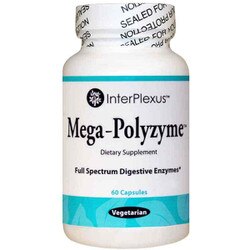Mega-Polyzyme 1