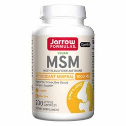 MSM 1000 Mg Capsules 1