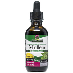 Mullein Leaf Extract 1