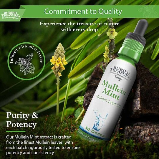 Mullein Mint, 2 Oz, BTN