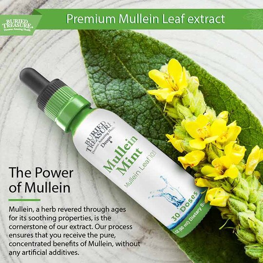 Mullein Mint, 2 Oz, BTN