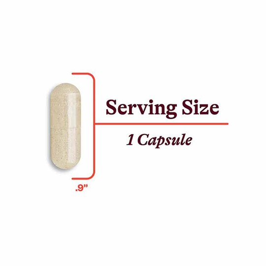 Multivitamin One MF Methyl-Free, 45 Veg Capsules, SKH