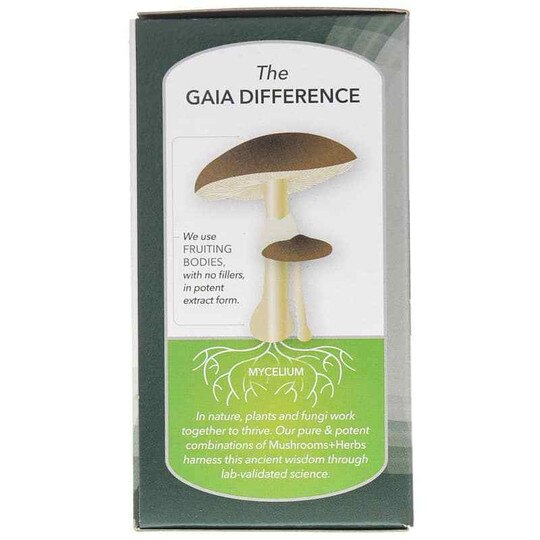 Mushrooms + Herbs Everyday Immune, 60 Vegan Capsules, GH