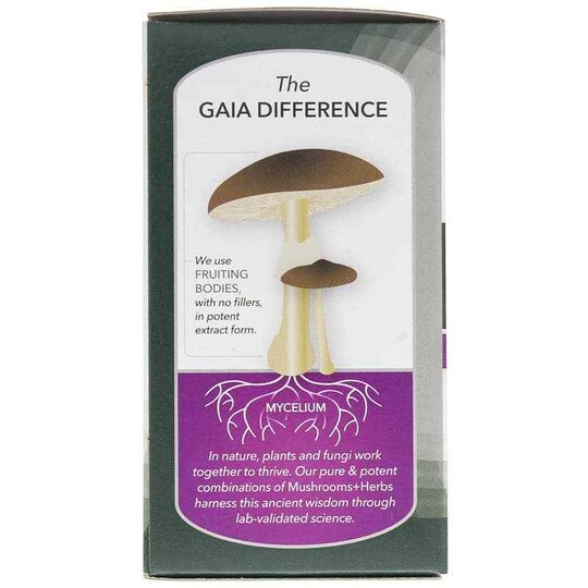 Mushrooms + Herbs Reishi + Turmeric, 60 Vegan Capsules, GH