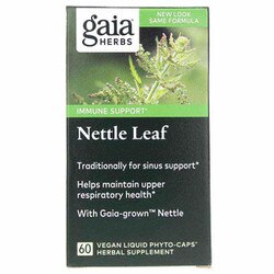 Nettle Leaf 1