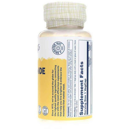 Niacinamide 500 Mg, 100 Veg Capsules, SLR