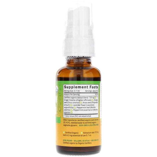 Not Now Nausea Spray, 1 Oz, HPH
