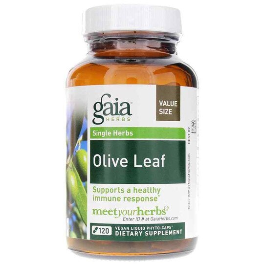 Olive Leaf, GH