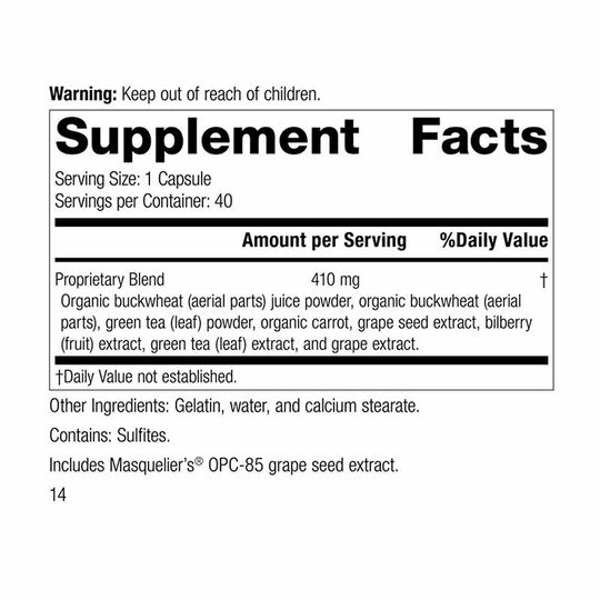 OPC Synergy, 40 Capsules, SP