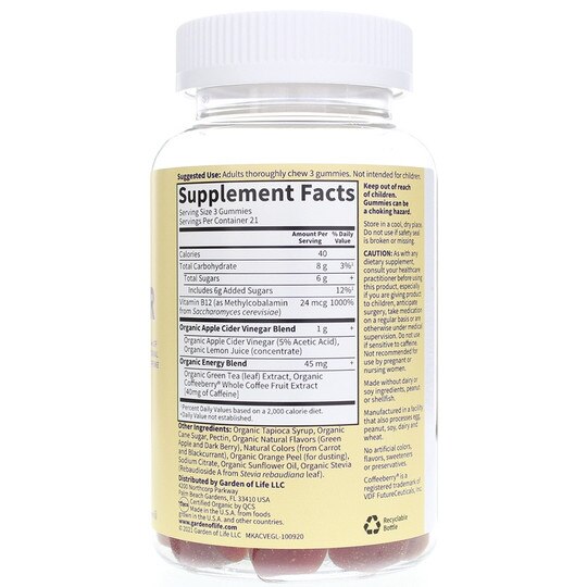 Organic Apple Cider Vinegar Energy Gummies, Garden of Life mykind Organics
