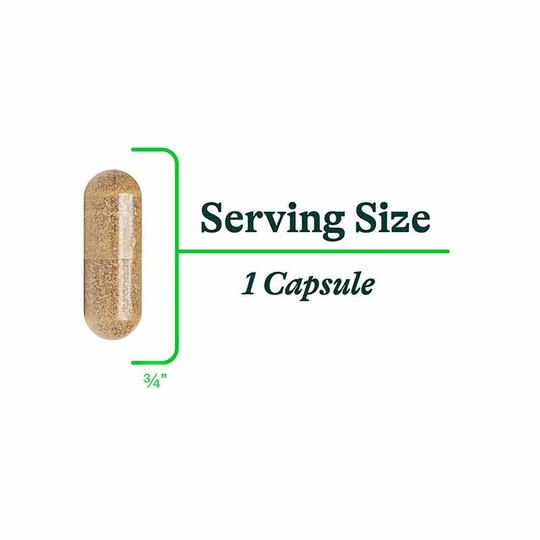 Ox Bile 125 Mg, 120 Veg Capsules, SKH