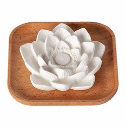Passive Lotus Diffuser