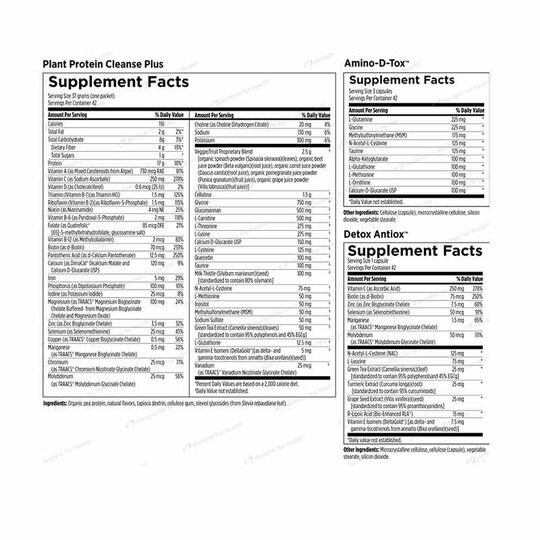 Plant Protein Cleanse Plus - 21 Day Detox Program, 1 Kit, DFH