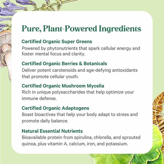 Pure Synergy Organic Superfood Capsules, 270 Veg Capsules, PSY