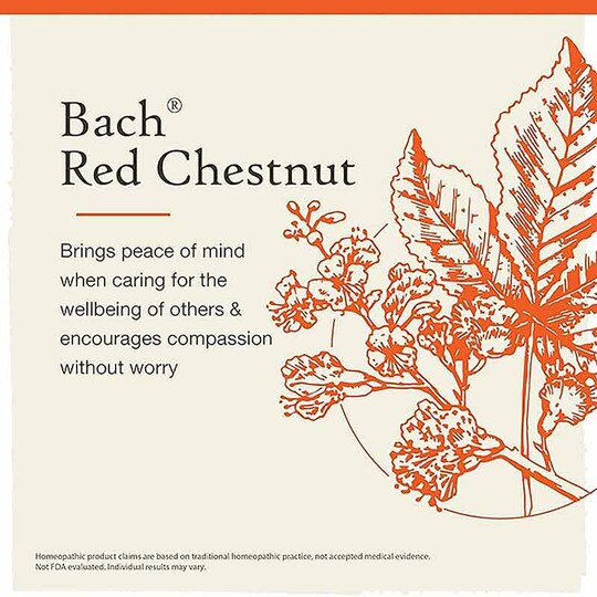 Red Chestnut Flower Essence, 0.7 Oz, BFR