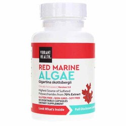 Red Marine Algae 1