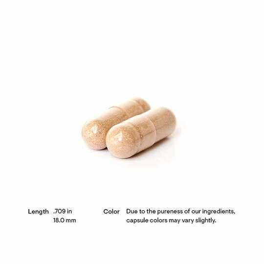 Rhodiola, 60 Capsules, THR