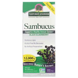 Sambucus Black Elderberry Extract 1