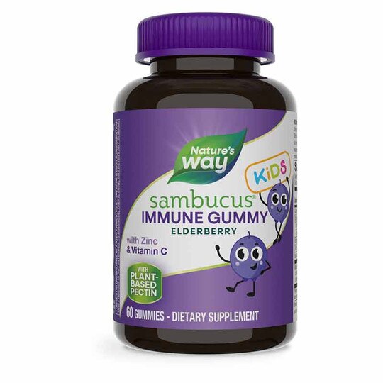 Sambucus Elderberry Gummies for Kids, 60 Gummies, NWA